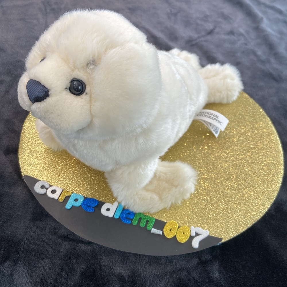 🍭National Geographic Seal Plush Toy
